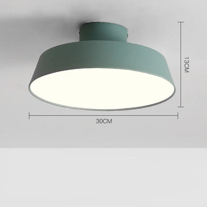 Samy Adjustable Ceiling Light