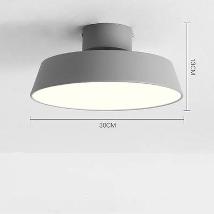 Samy Adjustable Ceiling Light