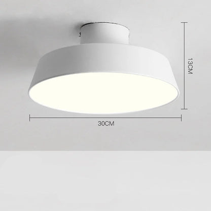 Samy Adjustable Ceiling Light