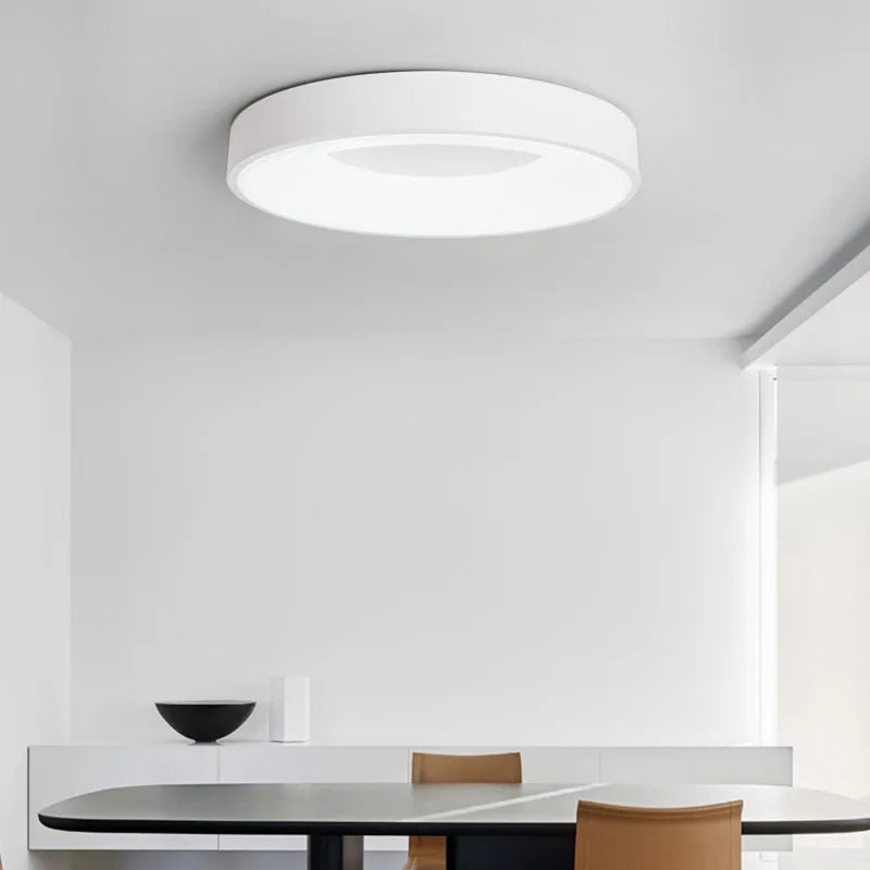 Bianes Ceiling Light