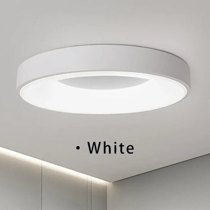 Bianes Ceiling Light