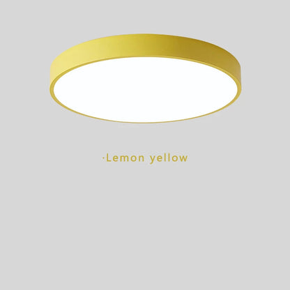 Minimalist Elana Ceiling Light