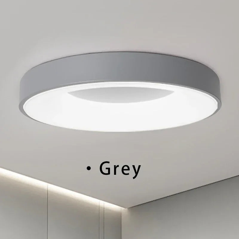 Bianes Ceiling Light