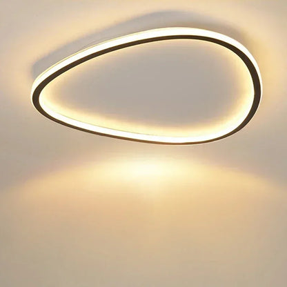 Slim Organic Ceiling Light