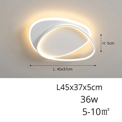 Organic Rings Ceiling Light