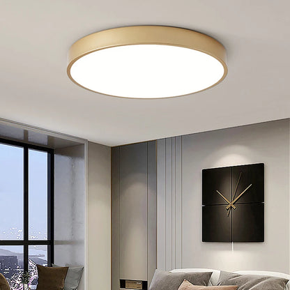 Minimalist Elana Ceiling Light