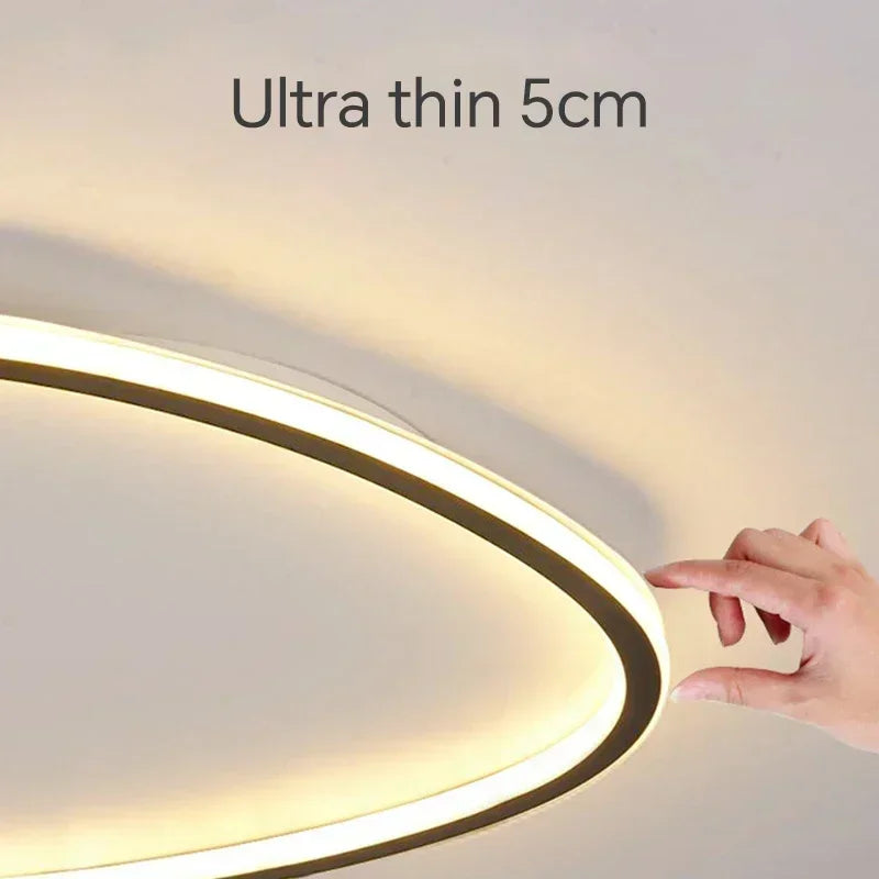 Slim Organic Ceiling Light