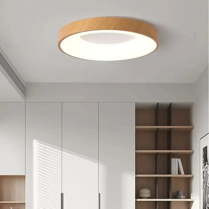 Bianes Ceiling Light