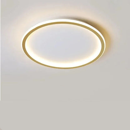 Modern Round Ceiling Light