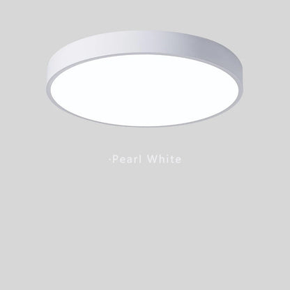 Minimalist Elana Ceiling Light