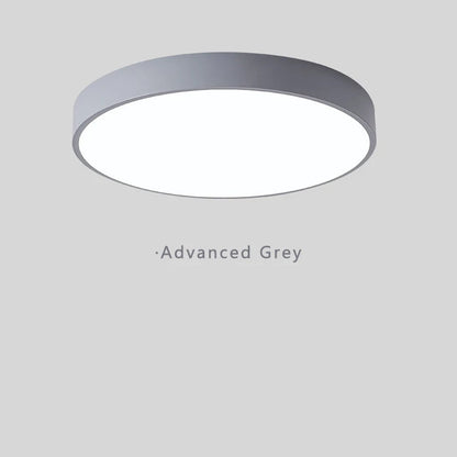 Minimalist Elana Ceiling Light