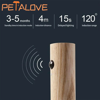 Wood Style Rechargeable Wall Light