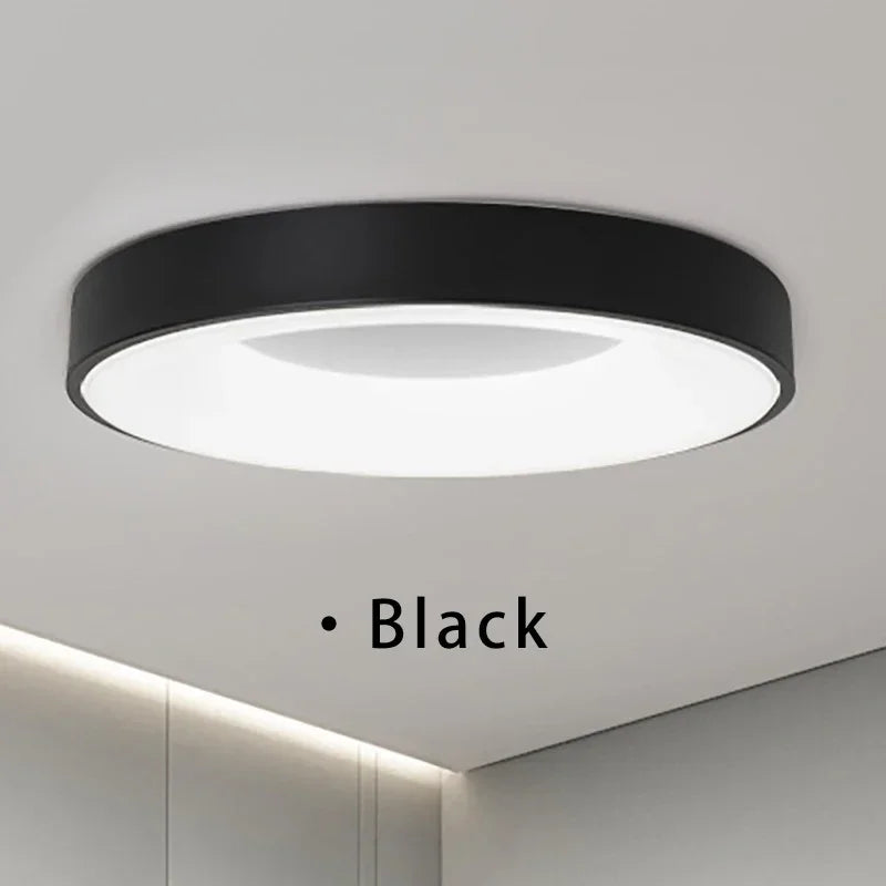 Bianes Ceiling Light