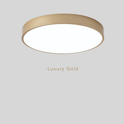 Minimalist Elana Ceiling Light