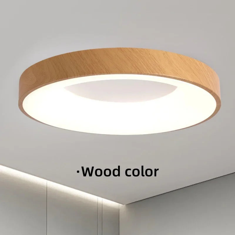 Bianes Ceiling Light