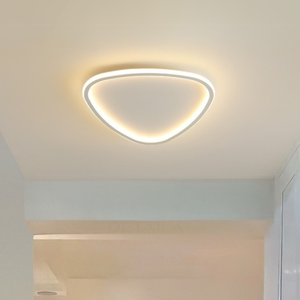 Slim Organic Ceiling Light